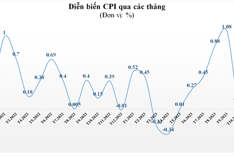 8/11 nhóm hàng hóa, dịch vụ tăng giá kéo CPI tháng 11 tăng 0,25% so với tháng trước 