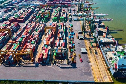 Viconship đang sở hữu và khai thác hệ thống cảng lớn tại khu vực Hải Phòng - Ảnh: Viconship