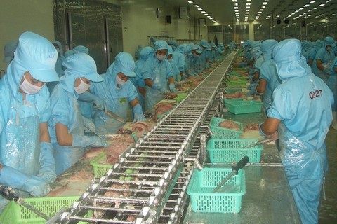 Trung Quốc sẽ tiếp tục là điểm đến hấp dẫn của doanh nghiệp xuất khẩu cá tra Việt Nam trong năm 2024 - Ảnh minh hoạ 