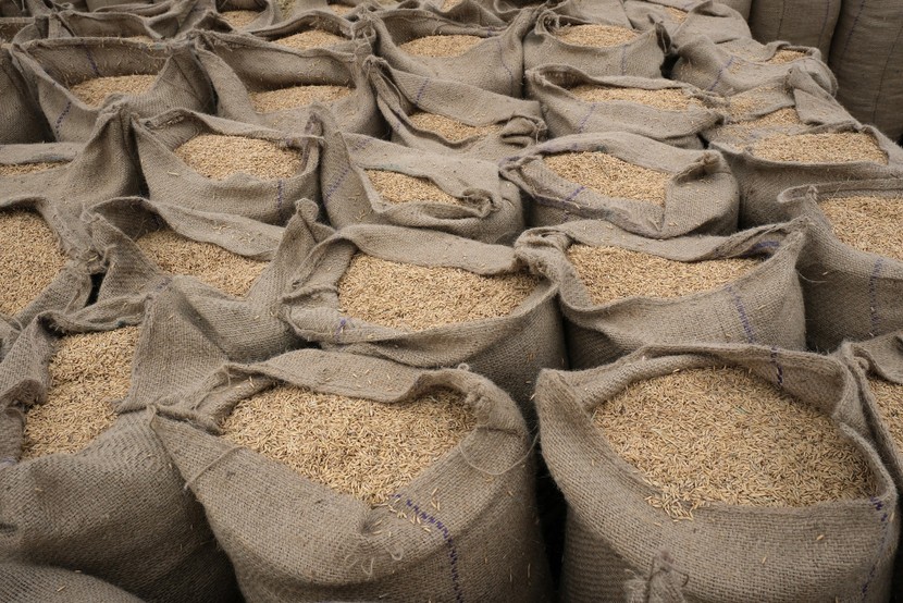 Quy định cấm xuất khẩu gạo của Ấn Độ ảnh hưởng đến toàn châu Á - Ảnh: Bloomberg 