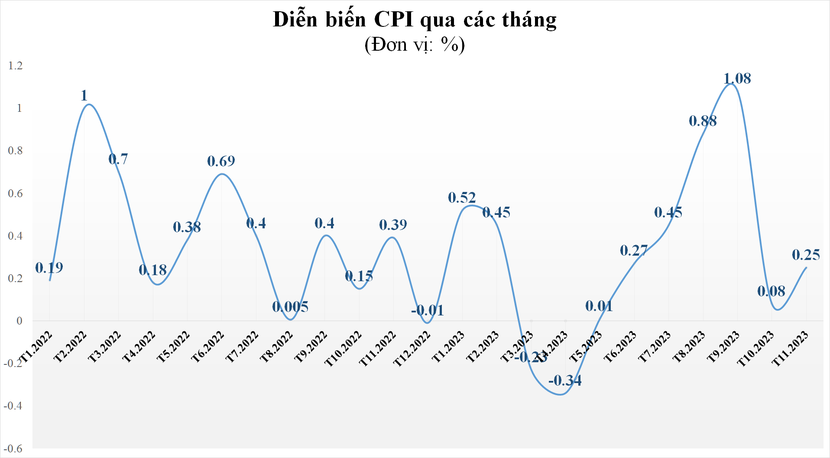 8/11 nhóm hàng hóa, dịch vụ tăng giá kéo CPI tháng 11 tăng 0,25% so với tháng trước 
