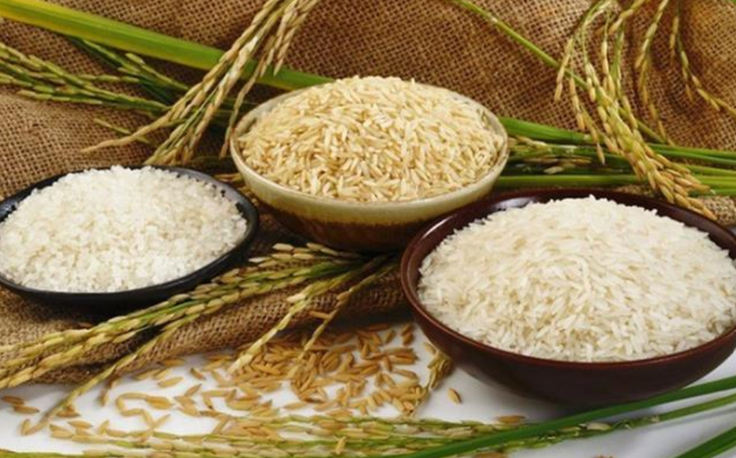 Bị HNX đưa vào diện kiểm soát, 1 cổ phiếu lúa gạo giảm kịch biên độ 10%, thị giá bốc hơi 50% trong 2 tháng dù xuất gạo Việt Nam đạt kỷ lục